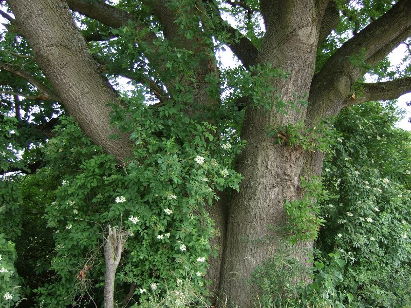 2011- 168.jpg